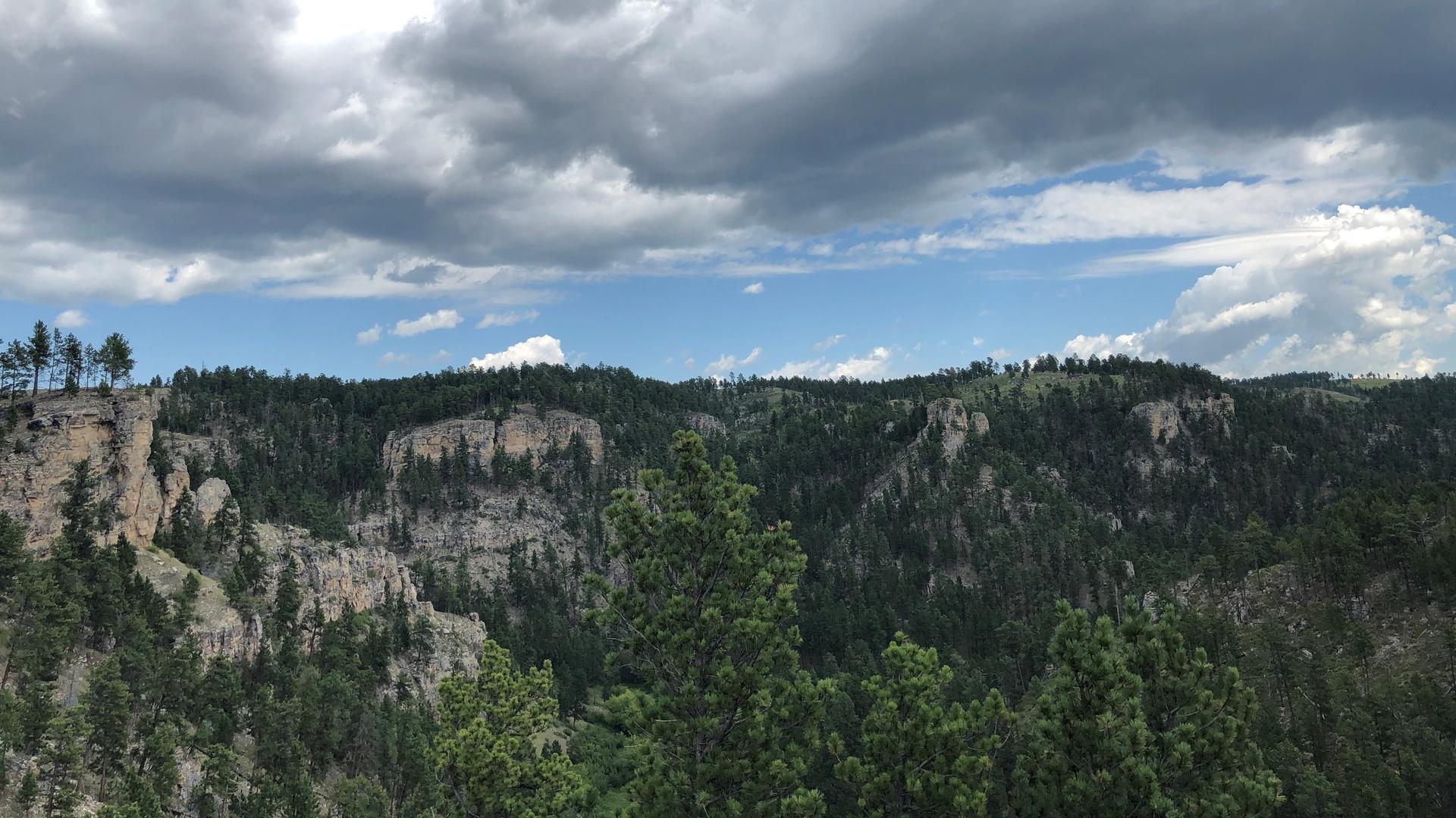 The Origin Story History And Controversy Of Black Hills National Forest
